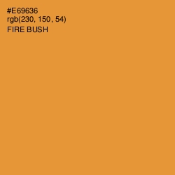 #E69636 - Fire Bush Color Image